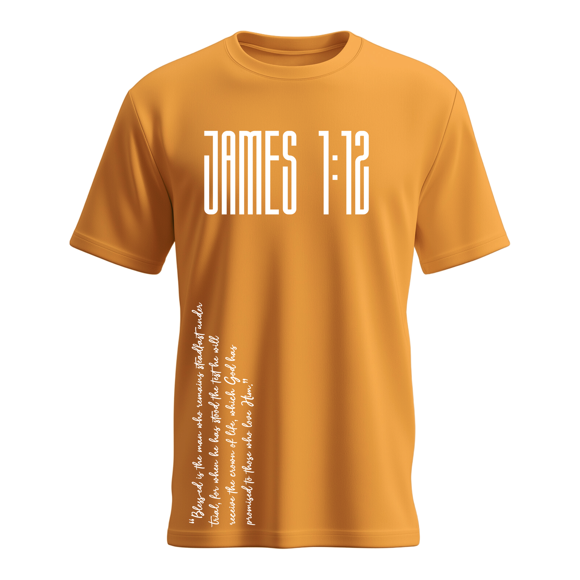 Men's James 1:12 T-shirt