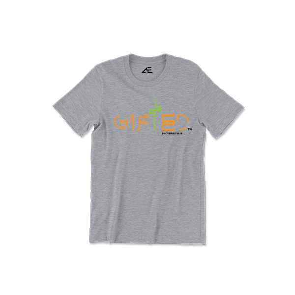 Toddler Boy's Gifted Shirt